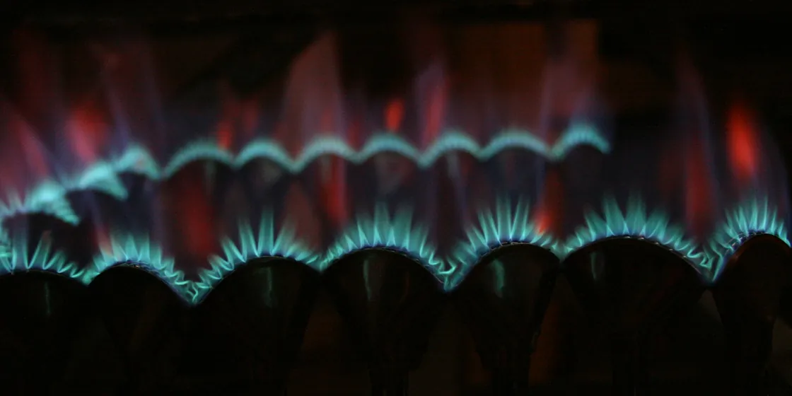 Row of blue gas flames on a burner