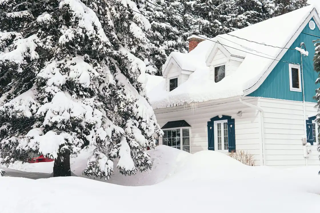 House and evergreen trees covered in fresh snow
