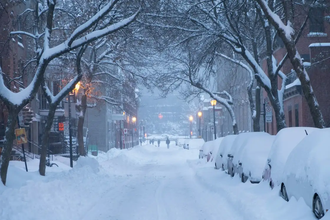Snow-covered residential street with parked cars and bare trees after a winter storm